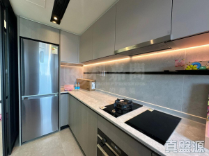 1773088252c992d110-2457-481a-9e5a-5481eef295fa.jpeg NOVO LAND 3A期 Dragor 2座 - 28NTS – 香港北部都會區