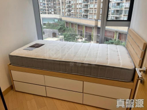 1773088612f8a4f6db-2ff0-4cb7-9f09-7889e910bb66.jpeg 東環 1期 3B座 - 28NTS – 香港北部都會區