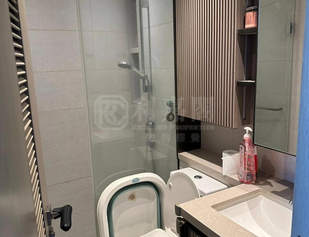 WETLAND SEASONS PARK 2期 3座 - 28NTS – 香港北部都會區