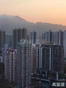 1773088829cf2036ea-1006-48f5-91aa-ad0f0477e1fc.jpeg 偉景花園 B座 - 28NTS – 香港北部都會區