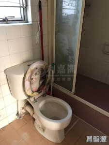 17730888384b2c1b4d-168c-4a06-8a1e-e90db7ed92c1.jpeg 偉景花園 B座 - 28NTS – 香港北部都會區