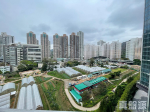 1773089928f0db57ac-1ae9-4c18-b3f4-7ef955067f8a.jpeg NOVO LAND 1B期 Bergen 1座 - 28NTS – 香港北部都會區