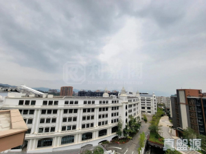 1773090314432a7cd2-718c-4f6e-9029-ca51cd3d76f5.jpeg 滿名山 - 28NTS – 香港北部都會區