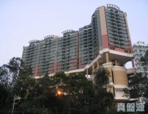 1773390089755483dd-b3b4-4a0f-b1a8-863abdc9324f.jpeg 朗逸峰 1期 8座 - 28NTS – 香港北部都會區