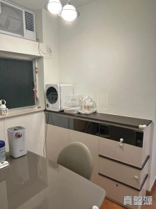 17733906251823d1c5-af37-4bd1-af1f-f2a01b3315b3.jpeg 愉景新城 1期 4座 - 28NTS – 香港北部都會區