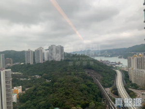 1773391710c0030442-030f-41e0-a54a-6694c58c2f90.jpeg 盈翠半島 2期 8座 - 28NTS – 香港北部都會區