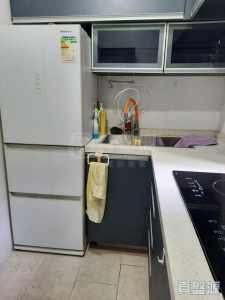 177340750212ccc410-2182-43dc-bf38-4d207f3732b6.jpeg 粉嶺花園 4座 - 28NTS – 香港北部都會區