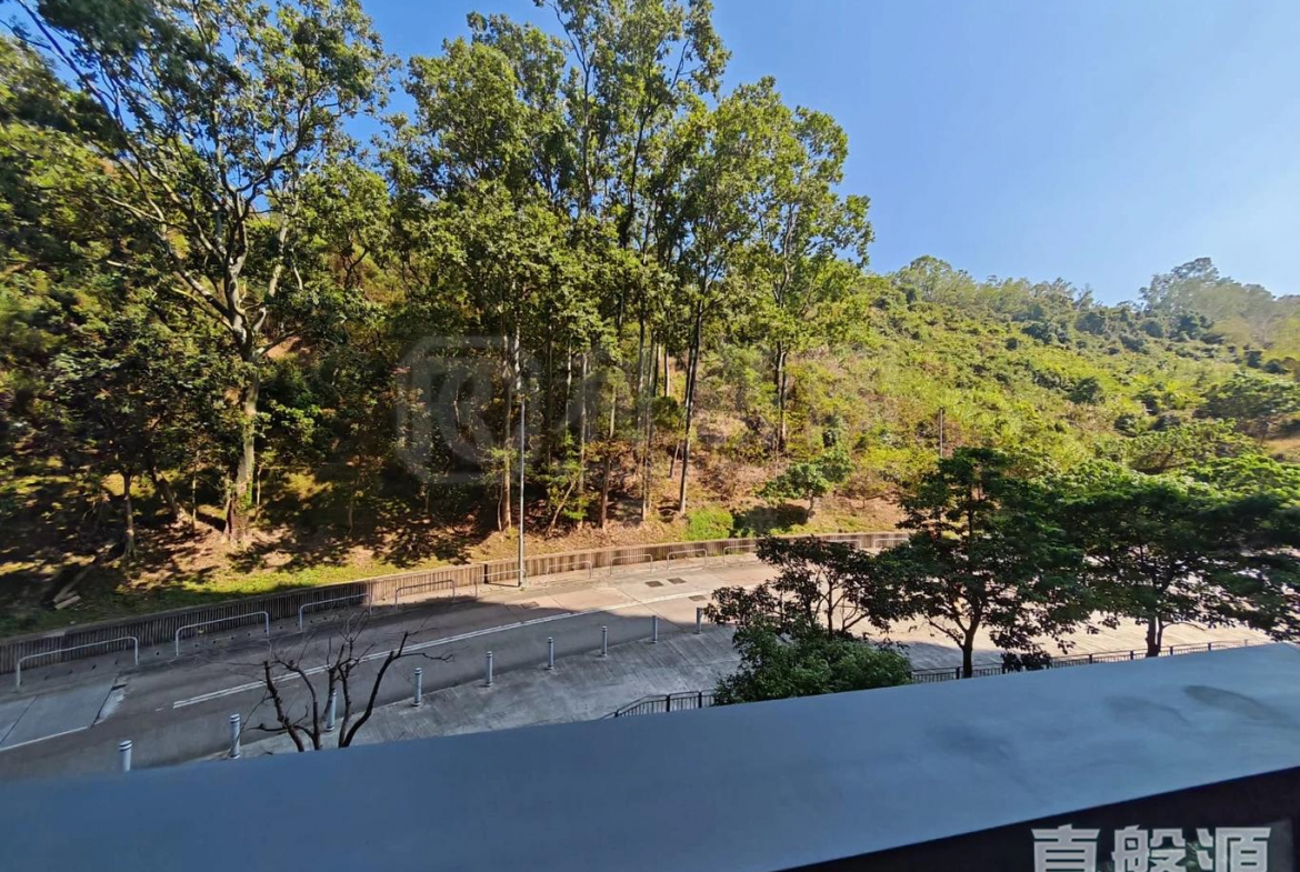 天鑽 8座 - 28NTS – 香港北部都會區