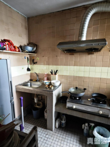 17734108507cb55e18-d634-4ea3-8f8c-ae8835d044b5.jpeg 逸雅苑 逸欣閣 (B座) - 28NTS – 香港北部都會區