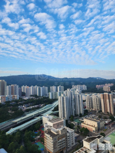 1773412812504e2697-ac6c-4311-a8e8-d9d1087a98e8.jpeg 名城 1期 2座 - 28NTS – 香港北部都會區