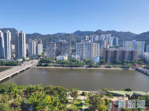 17734144182666bf24-f30f-4923-a196-1252586fcfef.jpeg 沙田中心 海寧大廈 (B座) - 28NTS – 香港北部都會區