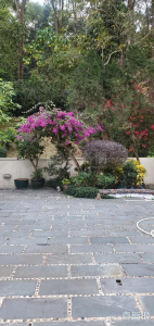 1773418981bcbc94d8-08b0-4770-8e37-d1c6945dc5a4.jpeg 龍成堡 洋房82A - 28NTS – 香港北部都會區