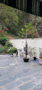 1773418988fa7a3e23-bc01-4a40-8d67-80285f228be5.jpeg 龍成堡 洋房82A - 28NTS – 香港北部都會區