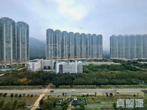 177409692391ed70f7-f797-48c6-832f-6cd797986bbd.jpeg 東環 1期 6A座 - 28NTS – 香港北部都會區