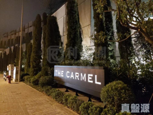 1774101858fb7befdf-a664-4e93-97a7-392da4c7f588.jpeg THE CARMEL - 28NTS – 香港北部都會區