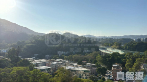 177410810128555349-545b-4f9d-a760-8df1dc062796.jpeg 天鑽 10座 - 28NTS – 香港北部都會區