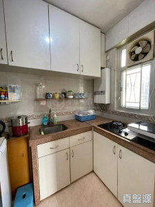 17741081967d3bcb85-2cf1-4ea1-8ca1-7c6847c68bc6.jpeg 沙田第一城 2期 17座 - 28NTS – 香港北部都會區