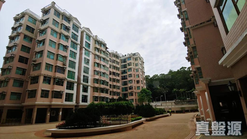 新峰花園 3期 御峰苑 20座 - 28NTS – 香港北部都會區