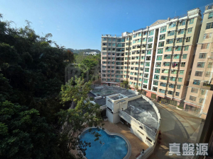 177443150445c4cc1e-f823-4497-95a0-ccdc2d80f149.jpeg 新峰花園 4期 御峰豪園 29座 - 28NTS – 香港北部都會區