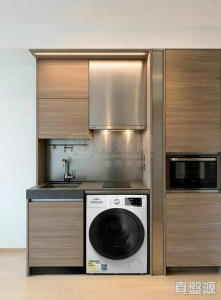 17747802150e21a602-d909-42a6-bedd-a0b92a4d4c81.jpeg 薈晴 1座 - 28NTS – 香港北部都會區