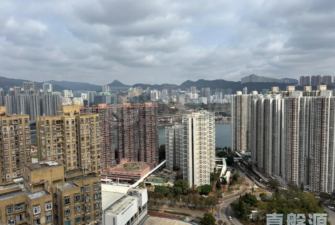 綠悠雅苑 3座 - 28NTS – 香港北部都會區