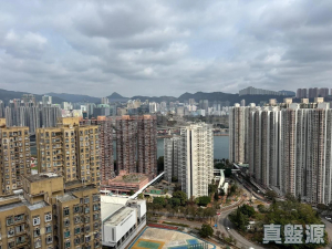 綠悠雅苑 3座 - 28NTS – 香港北部都會區