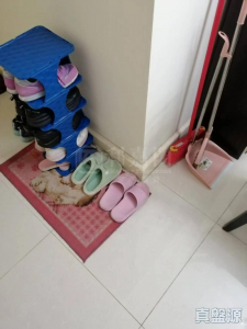 1775033200a14e8ed0-835a-42a2-8c4c-5c83090ff630.jpeg 栢慧豪園 2期 栢慧豪廷 7座 - 28NTS – 香港北部都會區