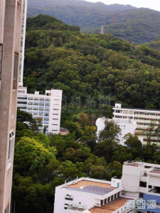 荃德花園 B座 - 28NTS – 香港北部都會區