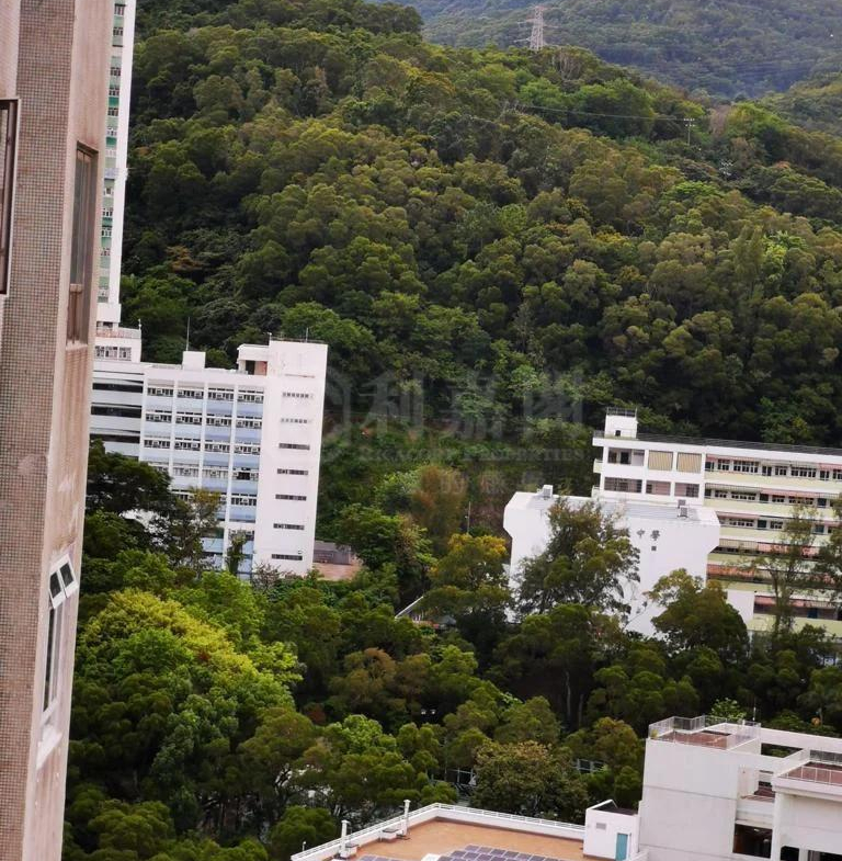 荃德花園 B座 - 28NTS – 香港北部都會區