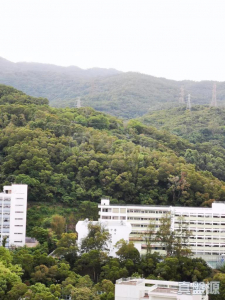 荃德花園 B座 - 28NTS – 香港北部都會區