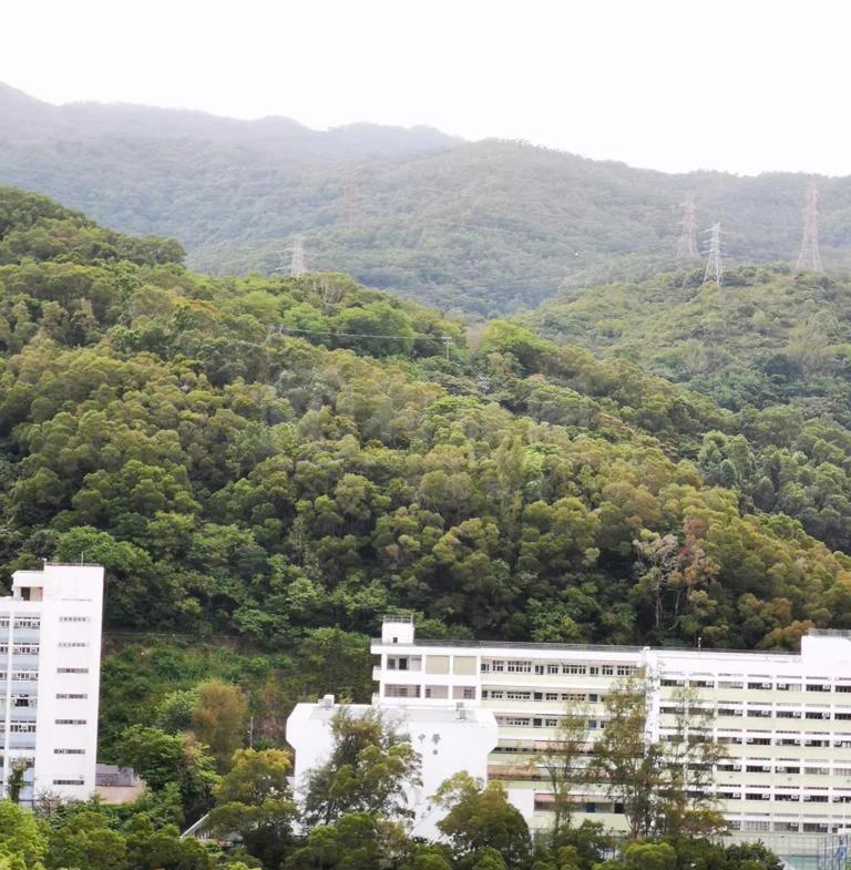 荃德花園 B座 - 28NTS – 香港北部都會區