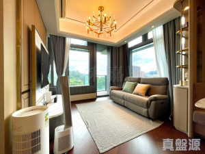 緹岸 1期 1座 - 28NTS – 香港北部都會區