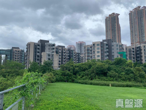 WETLAND SEASONS PARK 2期 2座 - 28NTS – 香港北部都會區
