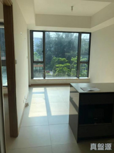 17750432070909efe2-968a-40b7-8a78-b927c2a842d3.jpeg 滿名山 滿庭 5座 - 28NTS – 香港北部都會區