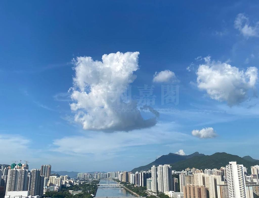 溱岸8號 2座 - 28NTS – 香港北部都會區