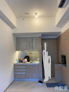 17750505306c477531-5872-487f-94ab-03a842b339b4.jpeg 泓碧 1座 - 28NTS – 香港北部都會區