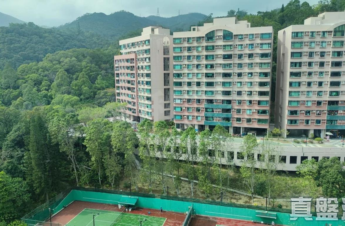 曉翠山莊 4座 - 28NTS – 香港北部都會區