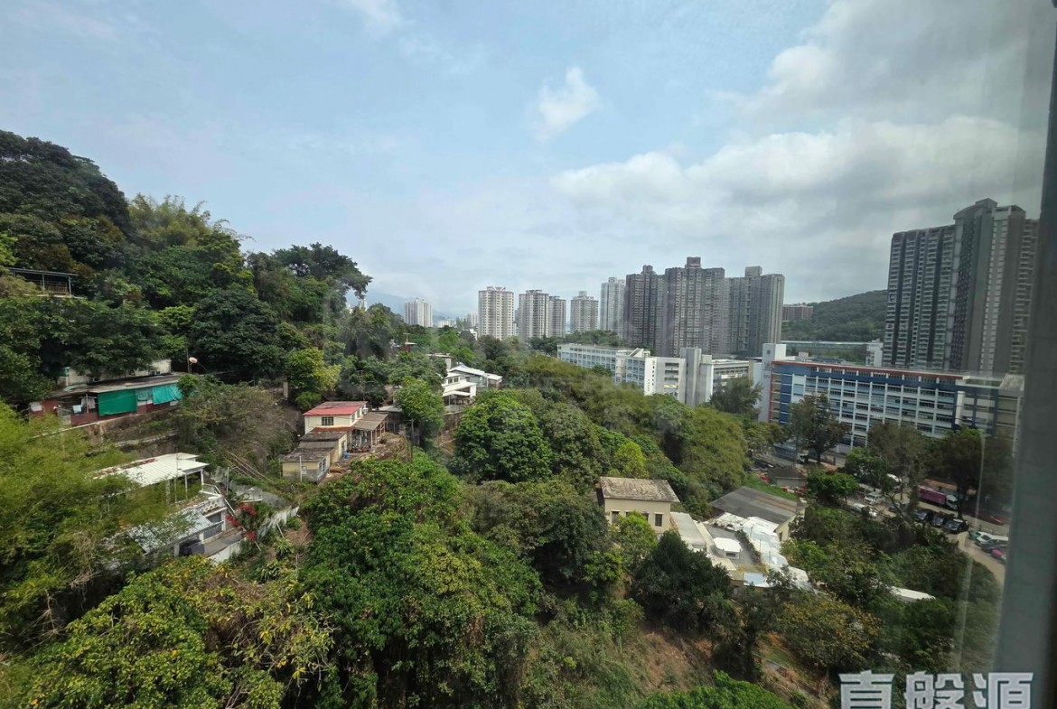 新峰花園 2期 1座 - 28NTS – 香港北部都會區