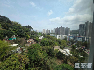 177505646122c0c0e5-cd8b-4976-80ed-283726bb0ce7.jpeg 新峰花園 2期 1座 - 28NTS – 香港北部都會區