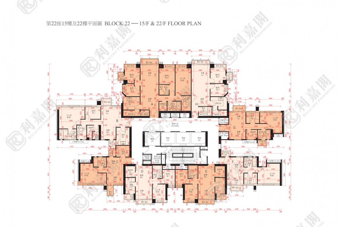 迎海 3期 迎海‧星灣御 22座 - 28NTS – 香港北部都會區