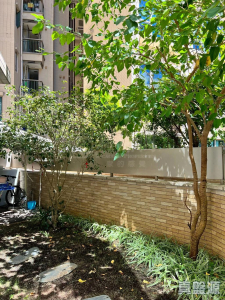 177505689199bc87c9-ccfe-4af4-a2cb-92c2fc2626ed.jpeg 逸瓏灣 II 大廈9座 - 28NTS – 香港北部都會區