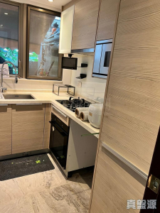 17750568978829295a-0d3f-4f16-be8a-a447f3f03b9b.jpeg 逸瓏灣 II 大廈9座 - 28NTS – 香港北部都會區