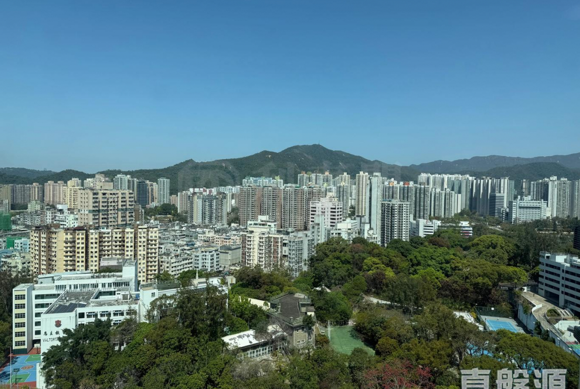 新達廣場 6座 - 28NTS – 香港北部都會區