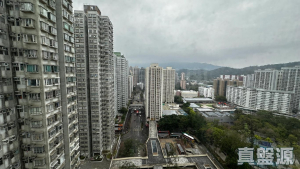 1775060052fb722b59-c5f5-4c3d-a8cb-71145fbd9965.jpeg 大埔廣場 宜興閣 (4座) - 28NTS – 香港北部都會區