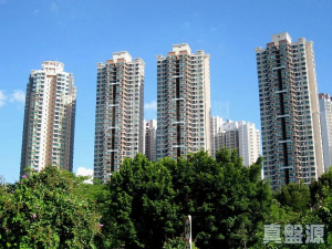 17750602210e84f73e-364a-4278-b85e-816f7a7a7f67.jpeg 御皇庭 3座 - 28NTS – 香港北部都會區