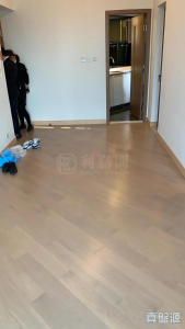 17753784171b3863c9-56af-4869-a6f7-5b93faf77ca5.jpeg GRAND YOHO 2期 8座 - 28NTS – 香港北部都會區