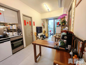 177538064336c065f6-ba7b-4103-a421-b6ad11b3d3b5.jpeg YOHO WEST 1期 3A座 - 28NTS – 香港北部都會區