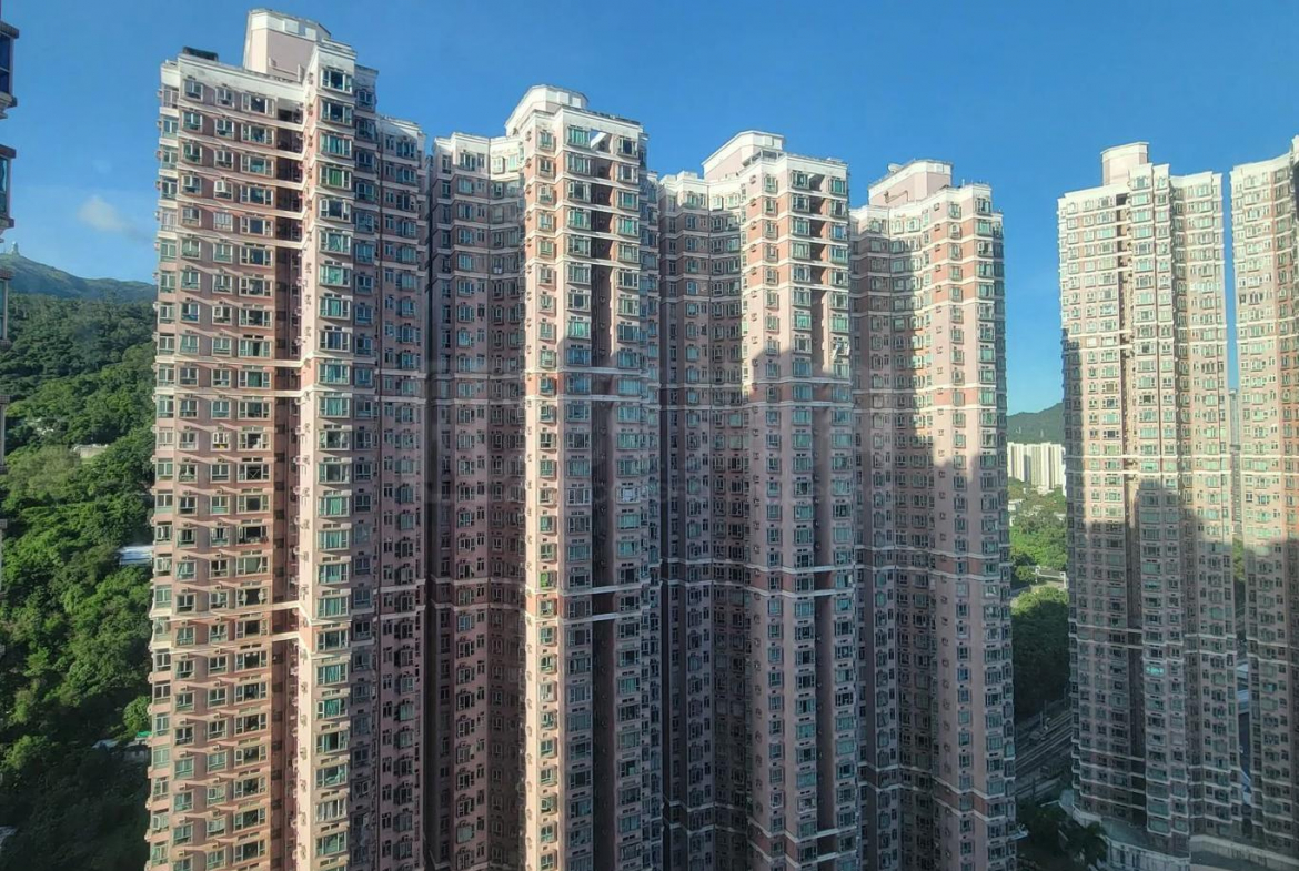 愉景新城 1期 2座 - 28NTS – 香港北部都會區