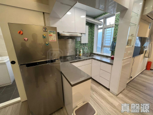 1775384677c5d6c531-67d4-4ee0-8c65-864b42a02abe.jpeg 裕泰苑 A座 (裕玥閣) - 28NTS – 香港北部都會區