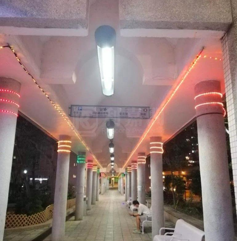 錦龍苑 龍悅閣 (A座) - 28NTS – 香港北部都會區